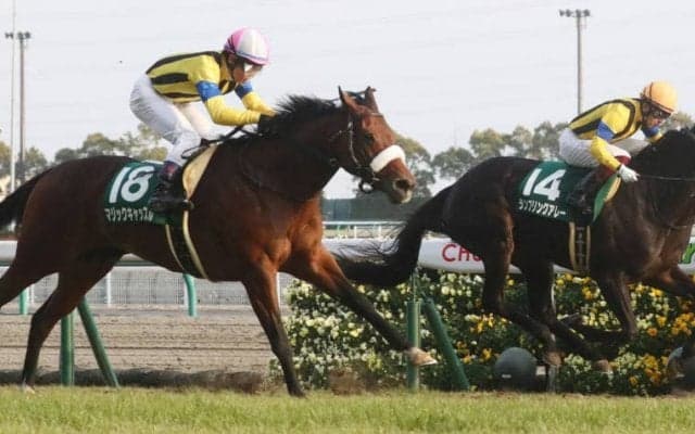 【愛知杯】マジックキャッスルが重賞初制覇！