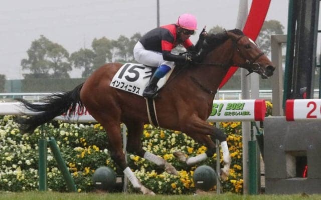 【新馬/中京6R】モーリス産駒 インフィニタスがデビューV