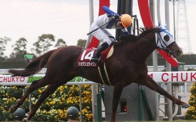 【日経新春杯】ショウリュウイクゾが抜け出す！人馬共に重賞初制覇