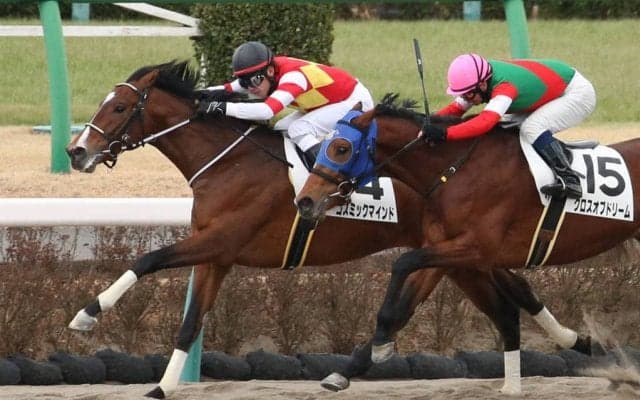 【新馬/中山4R】コズミックマインドが最内から抜け出す！デビューV