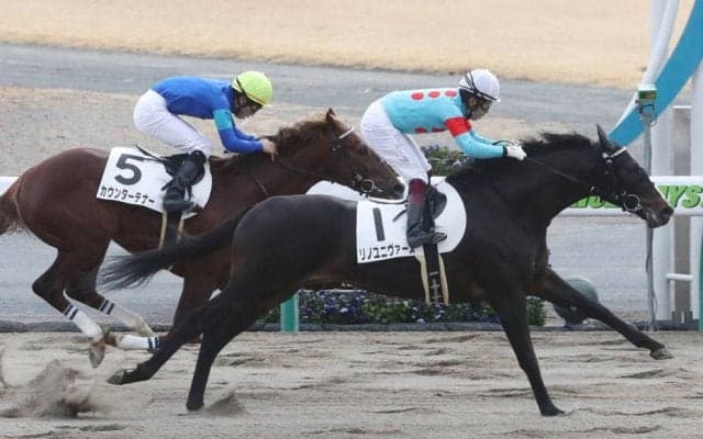 【新馬/中京4R】リノユニヴァースがデビューV！全兄はグレンツェント