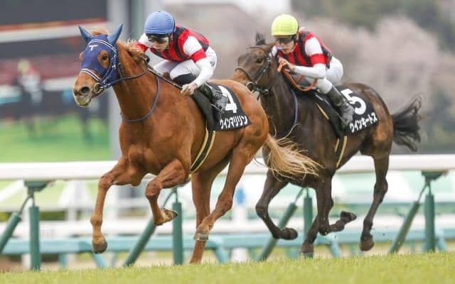 【AJCC展望】波乱も多い中距離戦、あの馬に期待したい