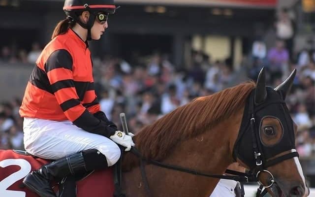 【先週のJRA抹消馬】11歳馬アクションスターが抹消、JRA現役11歳以上馬はカフェリュウジン1頭に