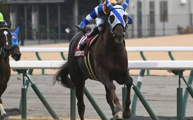 【日経新春杯回顧】ショウリュウイクゾ　軽ハンデを味方につけた大金星/栗山求コラム