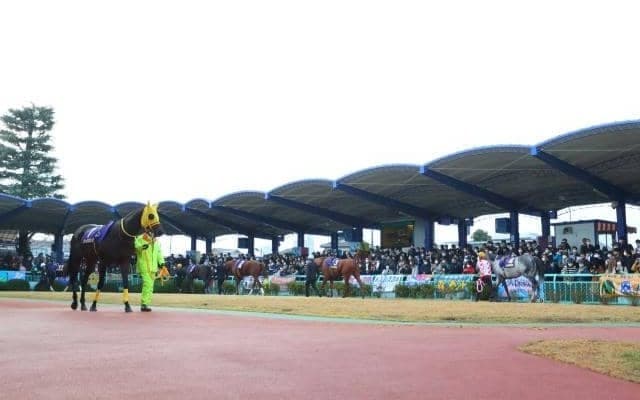 【地方競馬】浦和競馬は第11回開催も引き続き無観客で実施