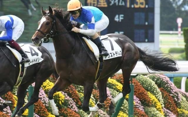 【AJCC見どころ】アリストテレスら明け4歳馬が人気の中心