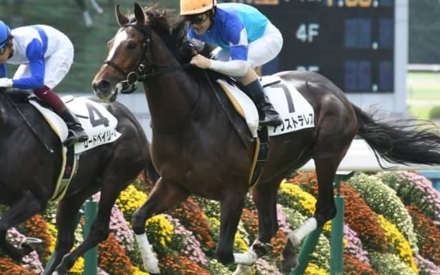 【AJCC予想オッズ】菊花賞2着アリストテレスら明け4歳馬が人気の中心