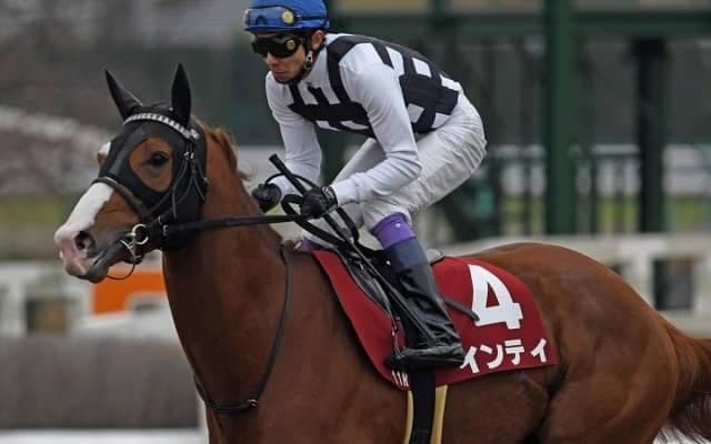 【東海S展望】フェブラリーSのステップレース、中心となるのはあの馬