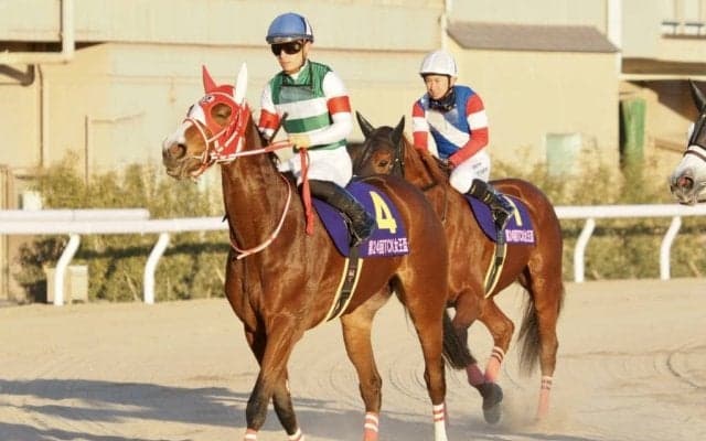 【TCK女王盃】川田「本当に良い雰囲気」マルシュロレーヌが快勝