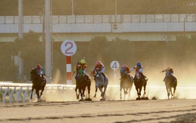 【TCK女王盃】森泰斗「4角までは良い感じだと…」レース後ジョッキーコメント