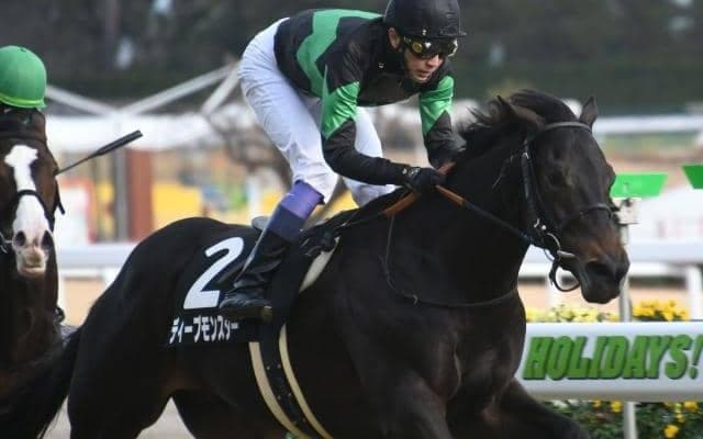 【次走】ディープモンスターはすみれSへ向かう、鞍上は引き続き武豊騎手