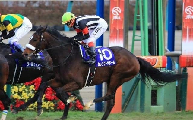 【次走】カレンブーケドールは日経賞へ、松山弘平騎手と新コンビ結成