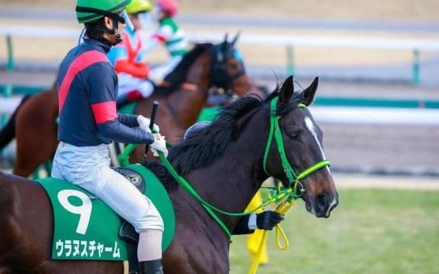 【JRA】ウラヌスチャームが引退、繁殖入り　愛知杯3着がラストランに