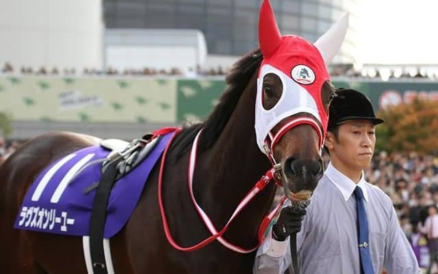 【JRA】ラヴズオンリーユー、京都記念後はドバイか香港遠征を視野に