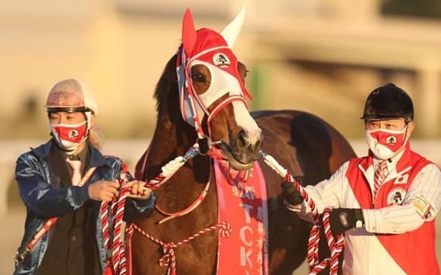 【TCK女王盃 レース後コメント】マルシュロレーヌ川田将雅騎手「今年も良い内容で勝ち切っていきたい」