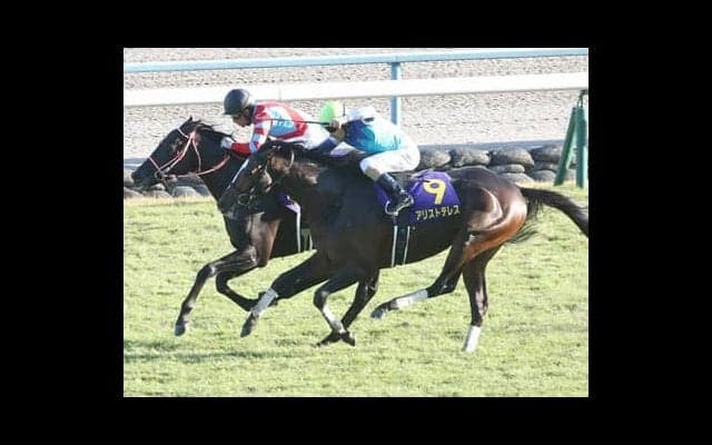 アメリカJCCは、今後の成長が期待される「良血４歳馬」３頭が争う