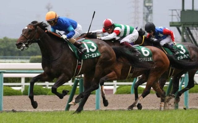 サマーセントが競走馬登録抹消