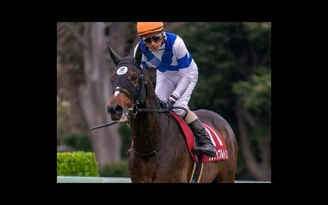明け４歳馬たちの躍進が期待されるAJCC。穴はいかにも条件合う５歳馬