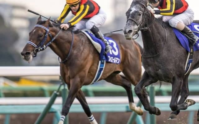【競馬ファンが選ぶ最優秀4歳以上牡馬】天皇賞・春連覇のフィエールマンが首位/netkeiba大賞 最終結果発表