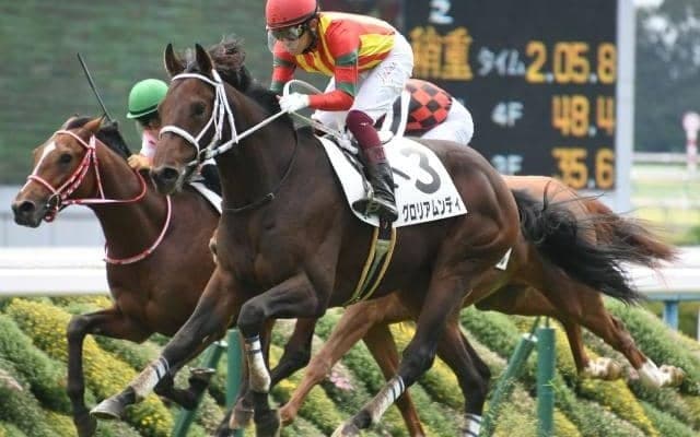 【本日の注目ポイント】中京で3歳のリステッド・若駒S、ヨシオの障害デビューなど