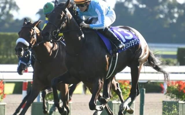 【競馬ファンが選ぶ最優秀3歳牝馬】無敗の牝馬三冠デアリングタクトが圧倒的首位/netkeiba大賞 最終結果発表