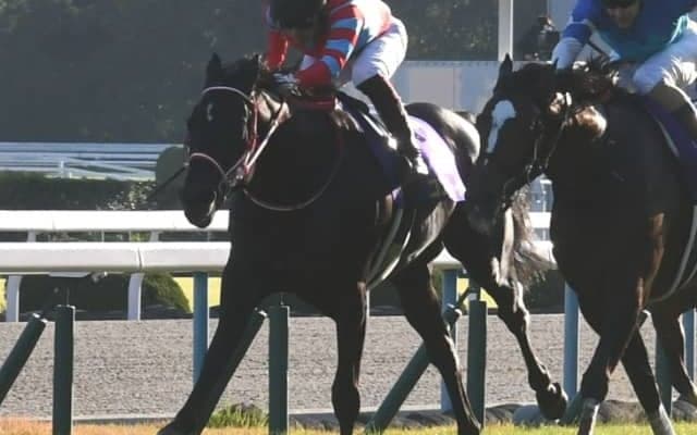 【競馬ファンが選ぶ最優秀3歳牡馬】無敗三冠のコントレイルが圧倒的な得票率でトップ/netkeiba大賞 最終結果発表