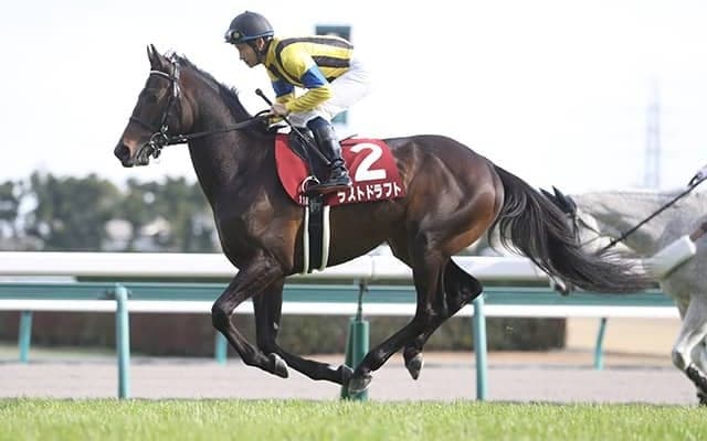 【AJCC予想】 世代間比較で明らかになった回収率の差！ 狙うべきは人気になりそうな4歳馬より5歳馬＆6歳馬!?/JRAレース展望