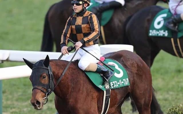 【次走】モズスーパーフレアは北村友一騎手とのコンビでシルクロードSへ