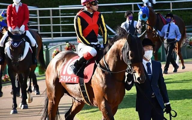 【次走】ステルヴィオは根岸Sでダート初参戦、2018年マイルCS覇者