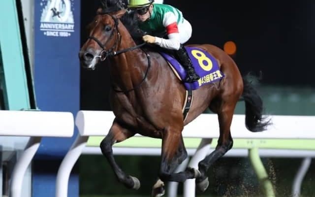 【競馬ファンが選ぶ最優秀ダート馬】帝王賞・JBCクラシック覇者クリソベリルがトップ/netkeiba大賞 最終結果発表