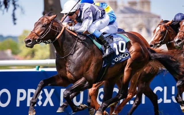 【海外競馬】スタディオブマンの初年度産駒誕生　ディープインパクト産駒の仏ダービー馬