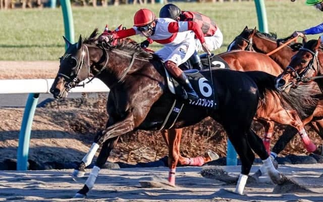 【本日の注目ポイント】中山でAJCC、中京で東海S