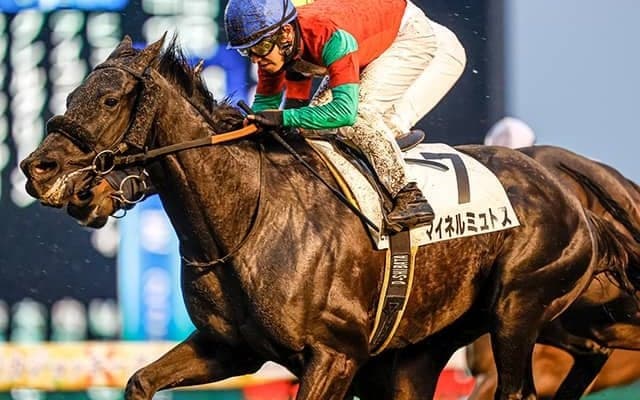 【中山12R・4歳上1勝】芝2200mで勝ち時計は2分20秒3　AJCCと同コース、重馬場で異例の時計