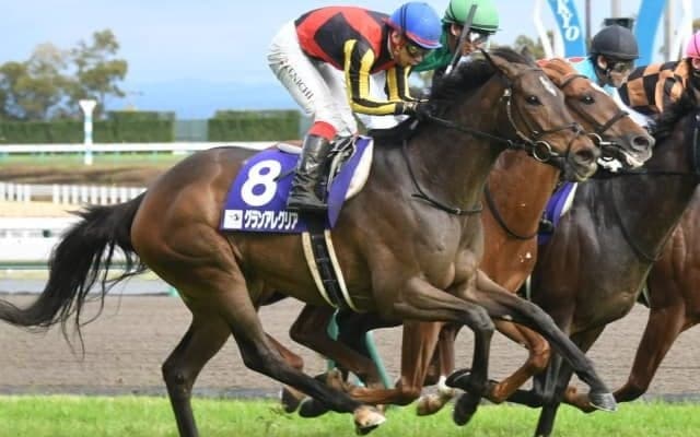 【競馬ファンが選ぶ最優秀スプリンター】グランアレグリアがダントツの票差で1位/netkeiba大賞 最終結果発表