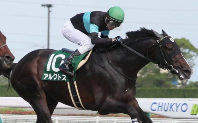 【根岸S登録馬】アルクトスなど26頭が登録