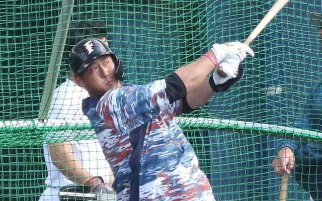 日ハム中田は「打球音レベチ？」　全本塁打動画に集まる驚愕の声「球界一男前」