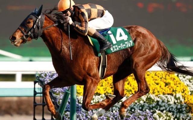 今週末から東京開催！ GI前哨戦の根岸SとシルクロードSに注目/今週の競馬界の見どころ