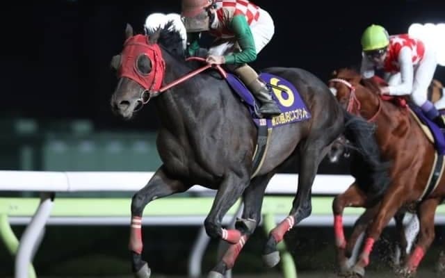 【競馬ファンが選ぶ最優秀地方馬】JBCスプリント覇者サブノジュニアが最多得票/netkeiba大賞 最終結果発表