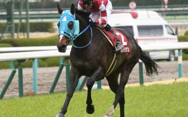 【競馬ファンが選ぶ最優秀障害馬】中山グランドジャンプVのオジュウチョウサンがトップに/netkeiba大賞 最終結果発表