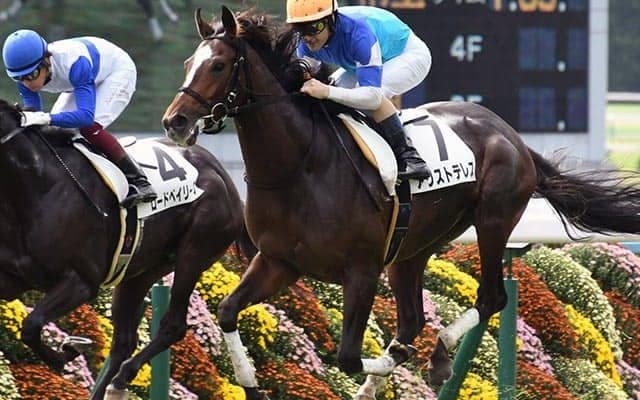 【AJCC・馬体重】アリストテレスは478kg(+4)、サトノフラッグは500kg(+10)