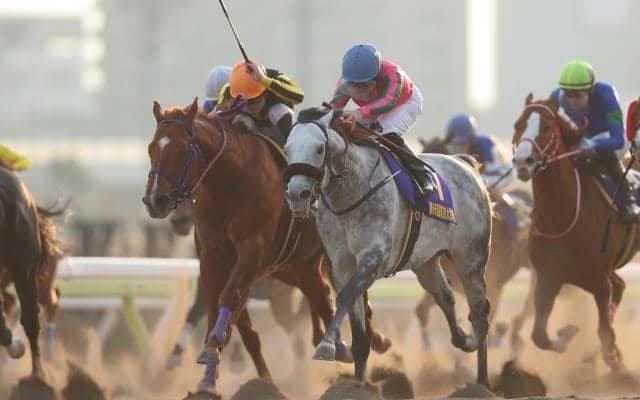 【川崎記念枠順確定】オメガパフュームは7枠8番、ロードブレスは8枠9番