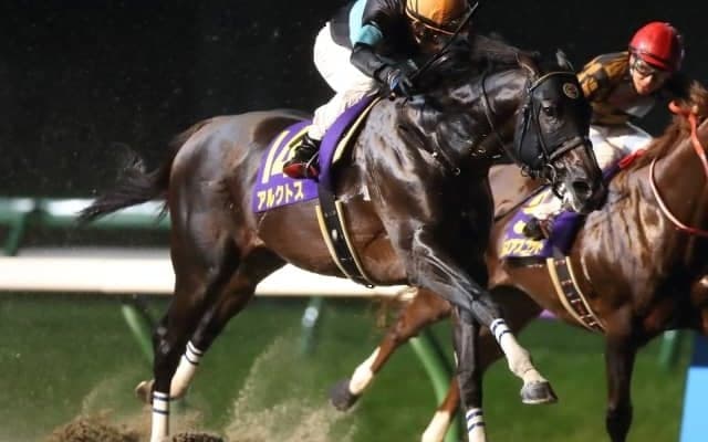 【根岸S見どころ】南部杯覇者アルクトスが巻き返しを狙う