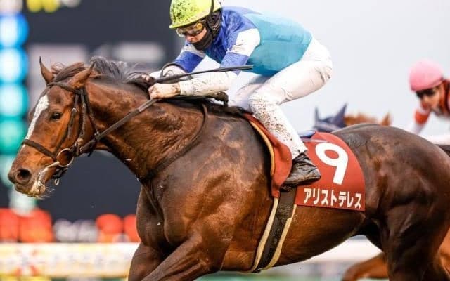 【次走】重賞制覇のアリストテレスは日経賞か阪神大賞典を視野に