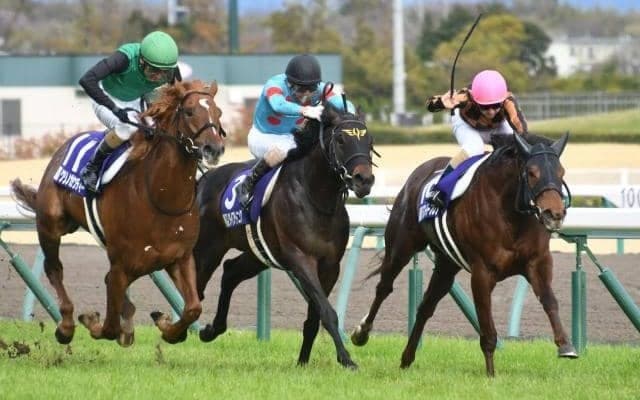 【シルクロードSハンデ確定】モズスーパーフレアは56.5kg、ラウダシオンは57.0kg