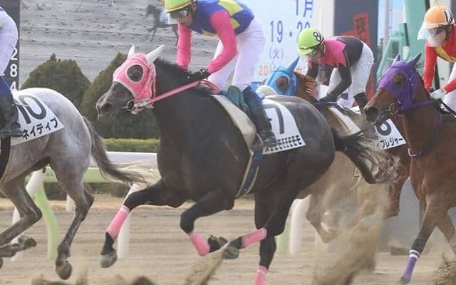 【地方競馬】スモモモモモモモモの走りっぷりが一変！