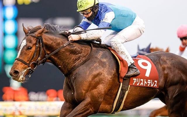 【AJCC回顧】アリストテレス　地力の高さを証明、春の盾獲りへ期待/栗山求コラム