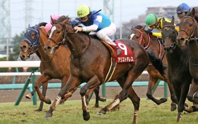 【AJCC】またしてもルメール！アリストテレスが重賞初制覇