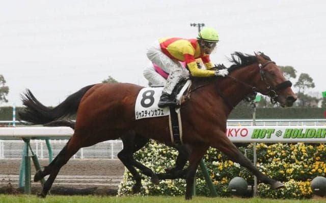 【新馬/中京6R】ジャスティンカフェがデビューV！サラキア半弟、エスコーラは破れる