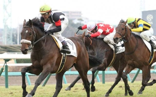 【新馬/中山6R】エピファネイア産駒 カレンレベンティスがデビューV