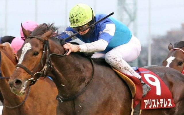 【AJCC】ルメール「トップコンディションじゃなかった」アリストテレスが重賞初制覇